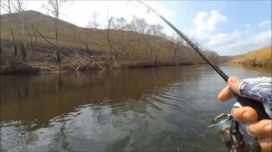 Воблер AQUA Жук