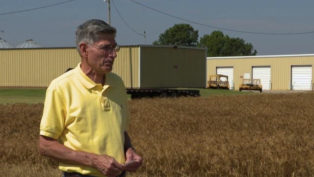 Market Monitor (6/20/20) смотреть онлайн