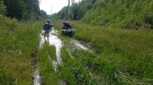 покатушки стелс гепард, стелс леопард, RM