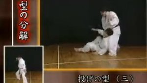 Ашихара-Кайкан - Nage No Kata Sono San