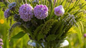 Доброго дня - хорошего настроения - открытки