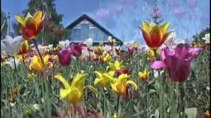 Cело Преображеновка Липецкой области.Экотуризм и сельский туризм.