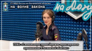 На волне закона: «О минимизации уровня дорожно-транспортного травматизма в Ростовской области»