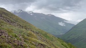 В ГОРЫ С СОБАКАМИ | ПРИЭЛЬБРУСЬЕ