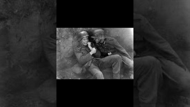 Сталинград,братская могила смотреть онлайн