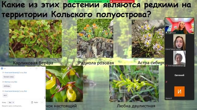 Экологическая игра "Природа и мы" смотреть онлайн