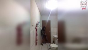 - Сейчас Мы с Моим Котом Будем Ловить Крысу