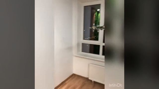 Фитостена в обеденной зоне ?