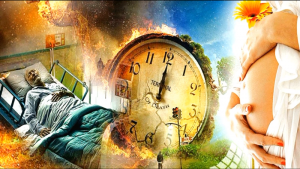 Михаил Щербаков; Под знаменем фортуны. (1)