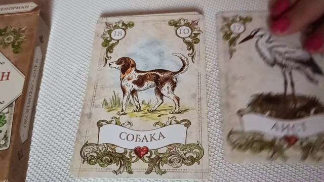 Обзор. Оракул мадам Ленорман. Автора Александра Рея.