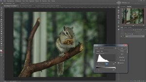 Видео урок Фотошоп - Яркость в фотошопе, Инструменты для работы с яркостью фотографий