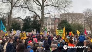 Протесты в Лондоне