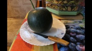Каким вырастает арбуз Сахарный Малыш