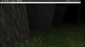 The Rake in Minecraft