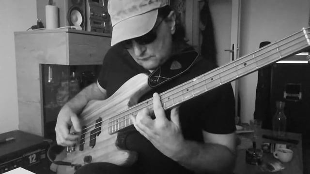 Shape Of My Heart by Sting Bass Cover смотреть онлайн