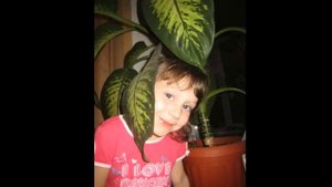 Комнатные цветы. Какие у меня были или есть комнатные растения. pot flowers
