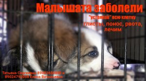 Если вы чаевничаете пролистните! Здесь нет пирожков