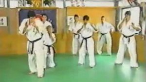 КАРАТЭ Sabaki Method Enshin Karate Часть7