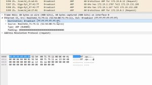 Канальный уровень в Wireshark | Практика по курсу "Компьютерные сети"