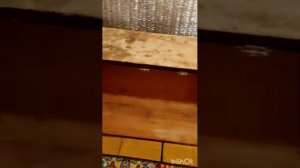 🟢ВЛОГ_20🟢 СТИРАЛЬНАЯ МАШИНА СВОИМИ РУКАМИ/РЕСТАВРАЦИЯ СТАРОЙ МЕБЕЛИ/ЖИВУ В ЗАБРОШЕННОМ ДОМЕ/ДИКИЙ