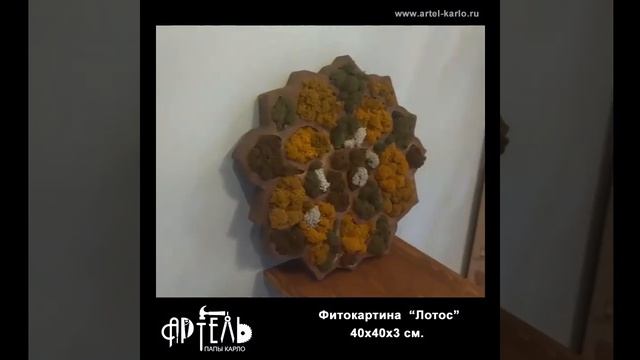 Фитокартина " Лотос"