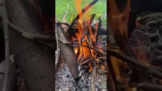 Спасти
