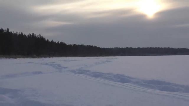 ЗАГАРЫ КАЖДЫЕ 5 МИНУТ! Набегался до седьмого пота! Рыбалка ,жерлицы на хитрую щуку. Таежное озеро. смотреть онлайн