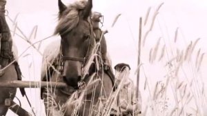 М.Лермонтов " Родина "