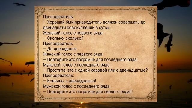 Анекдоты для ВЗРОСЛЫХ. Подборка пошлых анекдотов. #анекдоты #анекдот #сборниканекдотов