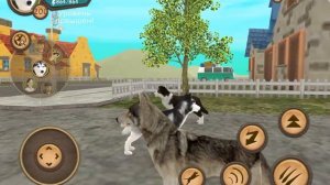 ВЗЛОМАННЫЙ АККАУНТ В DOG SIM|бессмертие, лвл 200.999, бесконечные монеты|