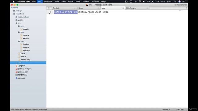 3  Using  env variables
