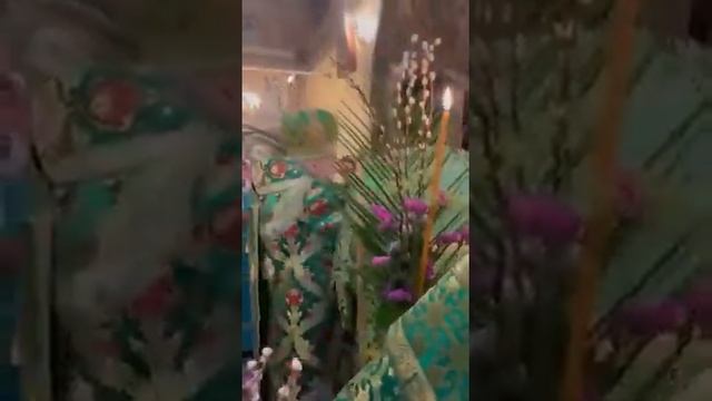 Сегодня Владыка Ювеналий провел вечернюю службу в храме Петра и Павла в Лефортово... смотреть онлайн