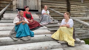 Отлетае мой соколик.