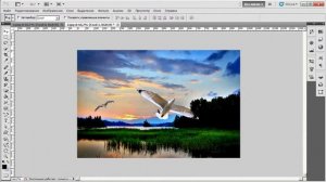 Adobe Photoshop. Инструмент перемещение
