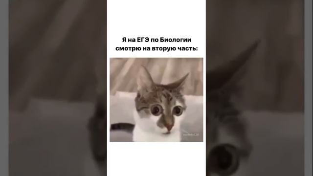 Подпишись💚 У меня еще много полезного контента для ЕГЭ по Биологии 🧬🏆 смотреть онлайн