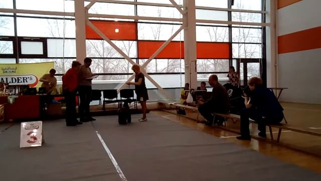 НЧ Керри блю терьеров "Край малахита" 3.12.2017 Екатеринбург смотреть онлайн