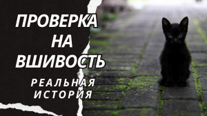 Проверка на вшивость. Истории из жизни. Аудиорассказ