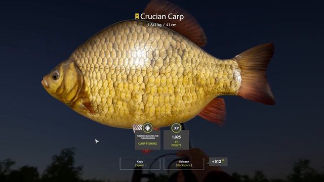 Russian Fishing 4 TROPHY LOG EP 21 - FIRST CARP FISHING TRIP! #rf4 #russianfishing4 смотреть онлайн