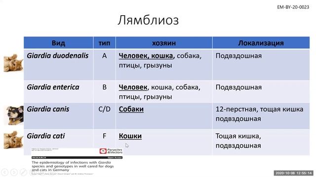 Вебинар "Как диагностировать и лечить протозоозы жкт у собак и кошек" смотреть онлайн