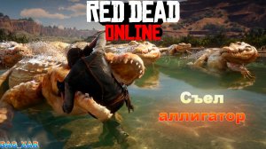 RED DEAD ONLINE Выходим на охоту, сьел аллигатор