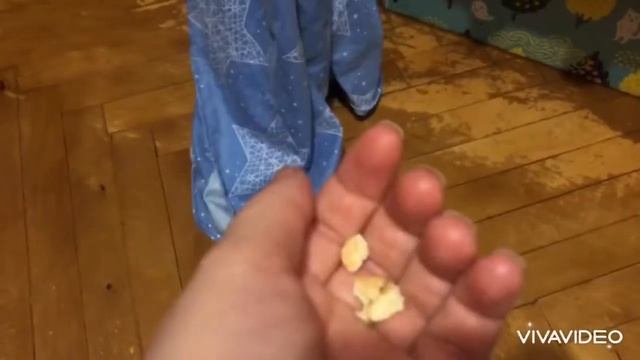 Как научить крысу откликаться и прибегать! Самый лёгкий способ попробуй! смотреть онлайн