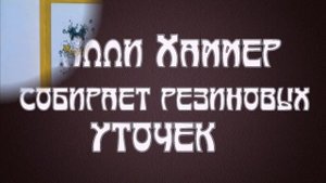 САМЫЕ НЕОБЫЧНЫЕ КОЛЛЕКЦИИ В МИРЕ
