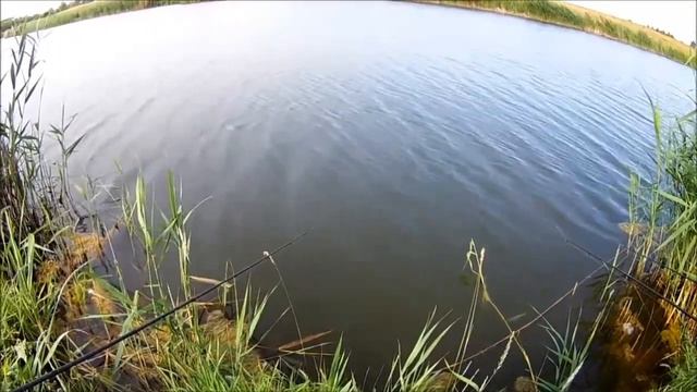 Охота на амура. Часть II. смотреть онлайн