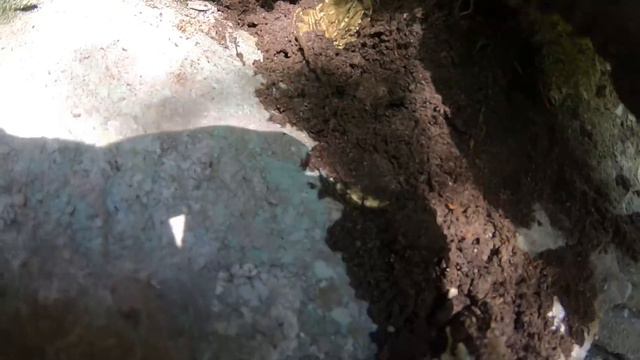 Kaçırdığım Delikte MÜHÜRLÜ Define Dolu Küp Buldum !!! смотреть онлайн