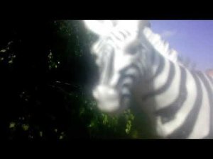 Сериал  Schleich  Believe in yourself серия  4