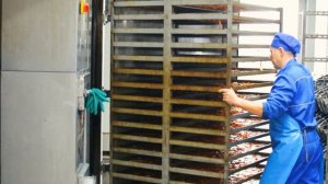 ТЕРМОКАМЕРА АГРОС для мясных чипсов