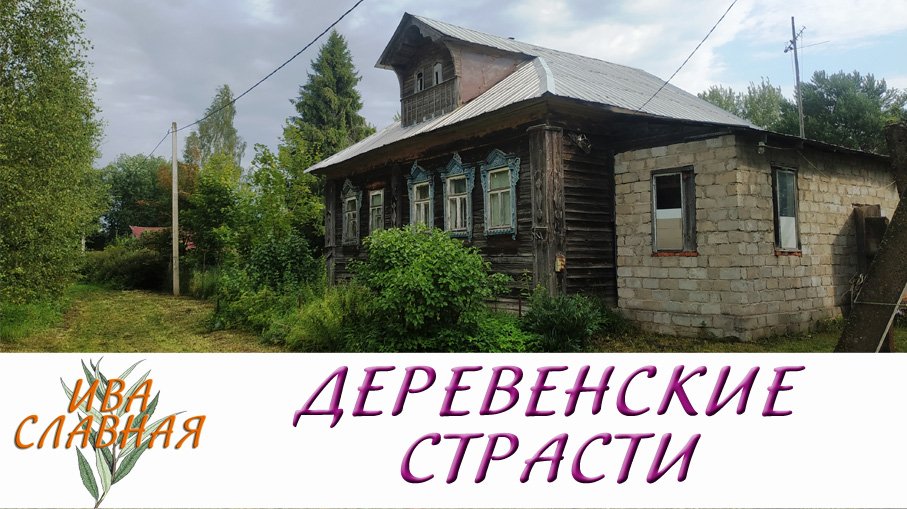 Ива Славная: Деревенские страсти. Самое начало новой плантации (27.07.2023) смотреть онлайн