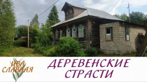 Ива Славная: Деревенские страсти. Самое начало новой плантации (27.07.2023)