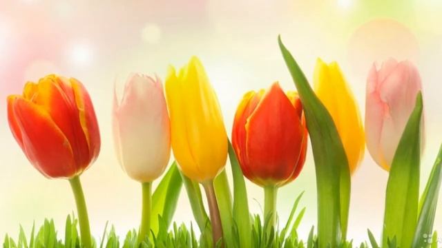 ?Музыкальная открытка с праздником 8 марта. смотреть онлайн