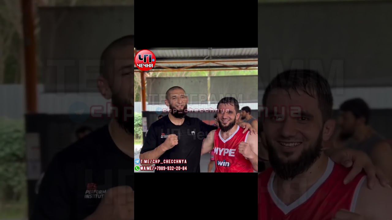 ❗️Чеченцу нет роднее ингуша, а ингушу родней чеченца! ✊✊ смотреть онлайн